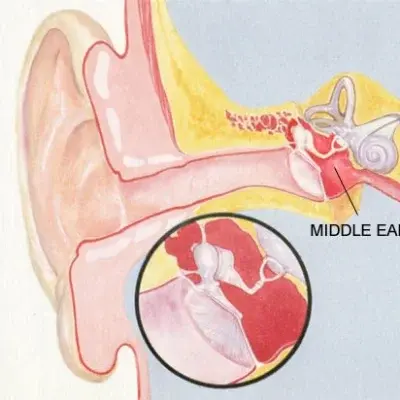 Ear Injury | Dhanani's ENT Clinic