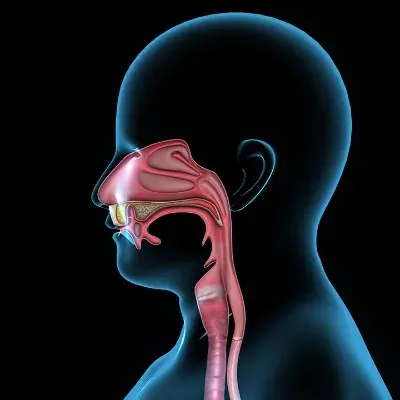Swallowing Disorders | Dhanani's ENT Clinic